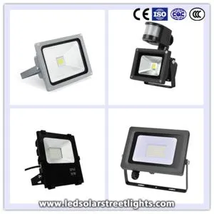 Proiector LED de 30W